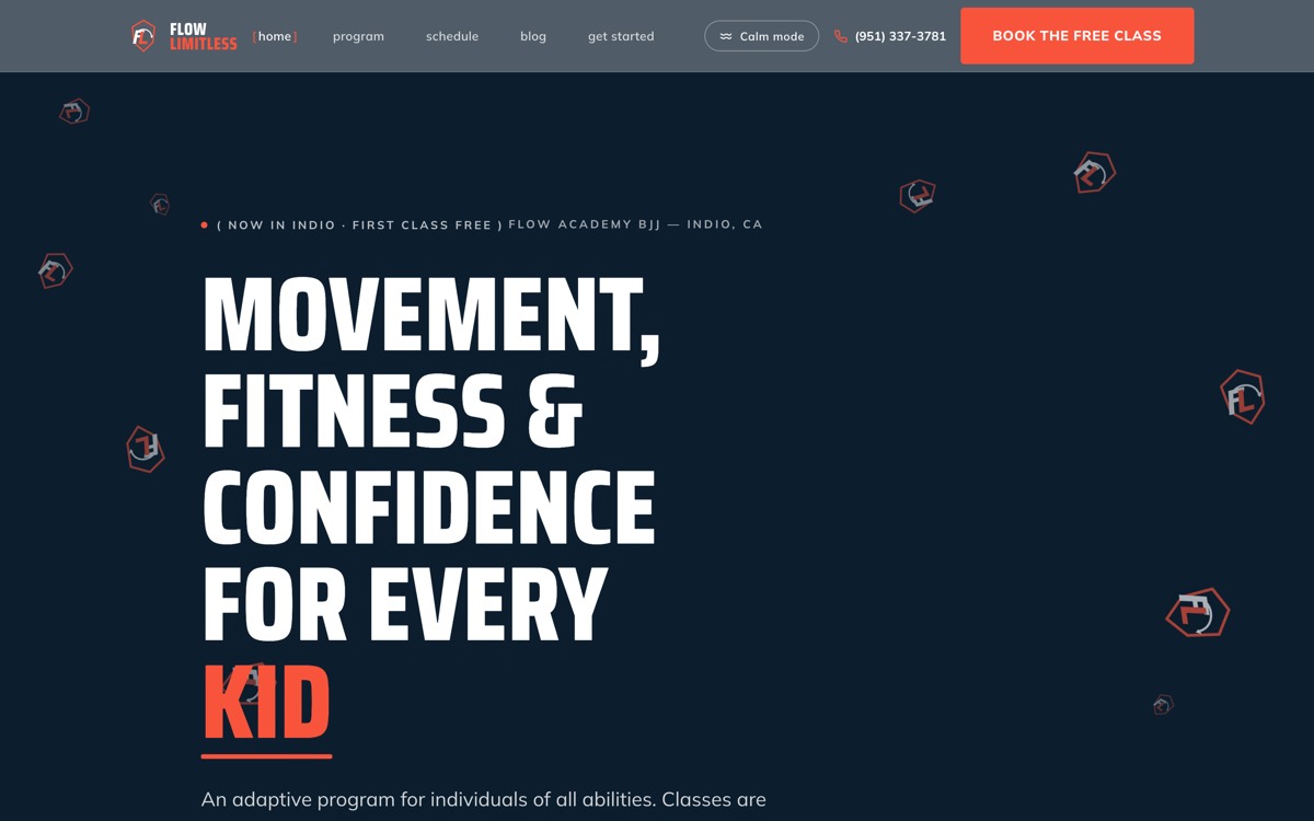 Flow Limitless website preview